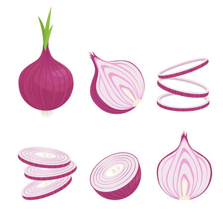 Onions whole and in slices set. Fresh purple vegetable for seasoning and baking half and cut thin rings for salad and garnish natural wholesome and natural diet. Vector cartoon harvest.のイラスト素材
