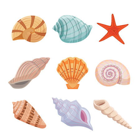 Colorful sea shells set. Starfish and spiral oyster with fancy tracery decoration of interior and...