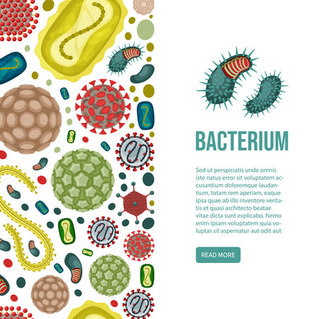 bacterias vertical baner . human bacterium microbiology concept background. Vector seamless templatesのイラスト素材