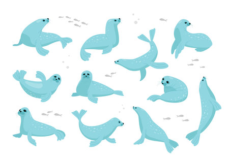 seals. north antarctica animals, cute funny cartoon characters, seals lying in different poses. vector ocean flat characters collection.のイラスト素材