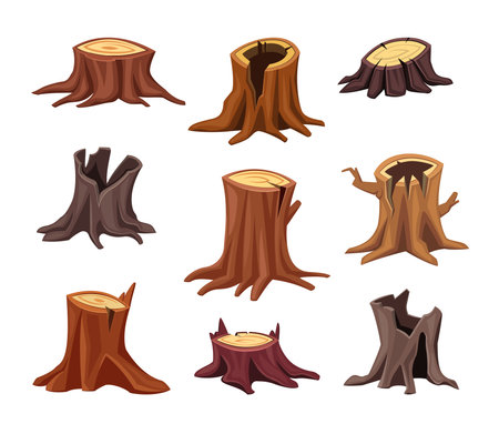 stump tree collection. cartoon different shaped wooden stumps set, forestry nature rural material. vector cartoon items isolated white background.のイラスト素材