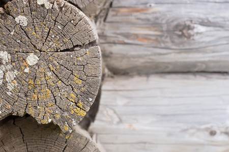 Old cracked wooden log wall with lichenの写真素材