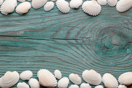 White sea shells forming top and bottom wavy borders on the old blue wooden board, view from above with place for textの写真素材