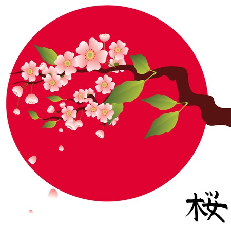 Green branch of an Oriental cherryのイラスト素材