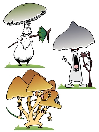 A set of different poisonous mushrooms in the grassのイラスト素材