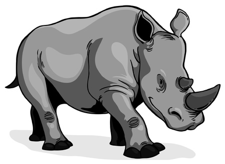 Rhinoceros on a white backgroundのイラスト素材