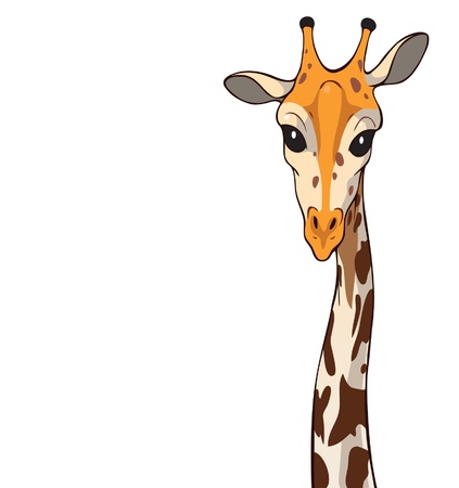 Illustration of a giraffe with a slender, long neck. のイラスト素材