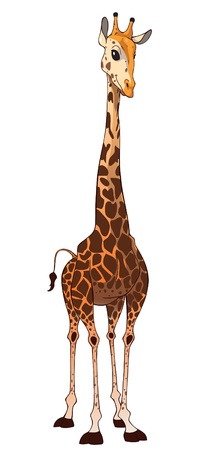 Illustration of a giraffe with a slender, long neck. のイラスト素材
