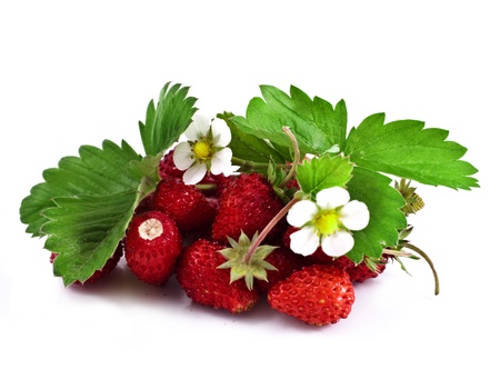 Wild strawberry with flower の写真素材