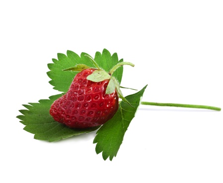 Strawberries with leaves  Isolated on a white background  の写真素材