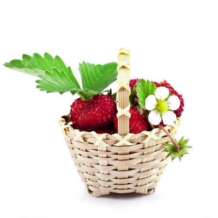 Fresh wild strawberries in the basket isolated on white の写真素材