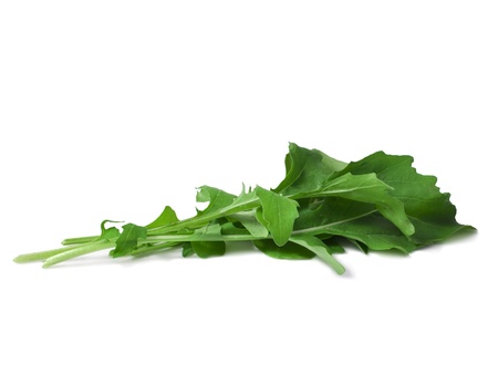 fresh rucola leaves on a white background の写真素材