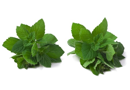 Fresh green mint isolated on whiteの写真素材