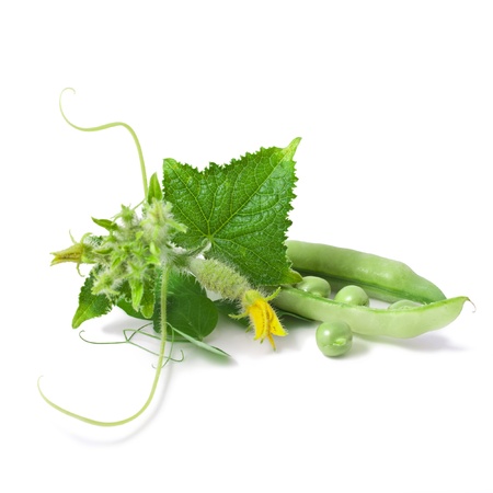 Pea and cucumber isolated on white background の写真素材