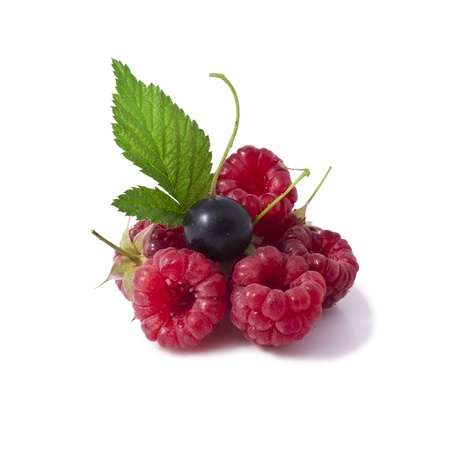 Black currant and raspberry の写真素材