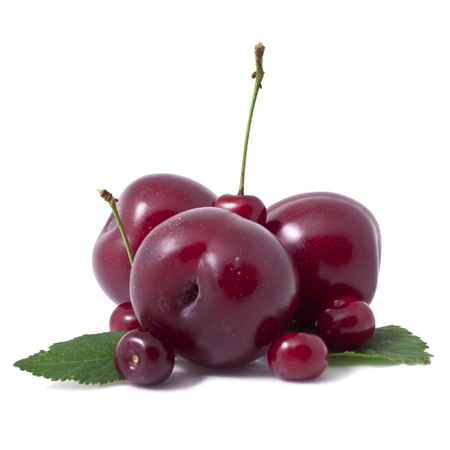 cherries and plums   isolated on a white background  の写真素材