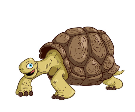 Cartoon Turtle Isolated on White Background のイラスト素材