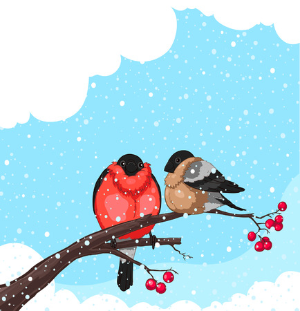 Two Bullfinch on a branch of rowan isolated on white background のイラスト素材