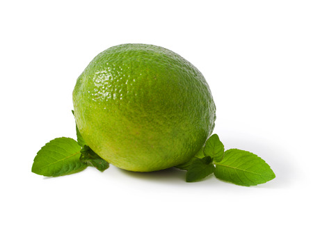 Lime and mint isolated on whiteの写真素材