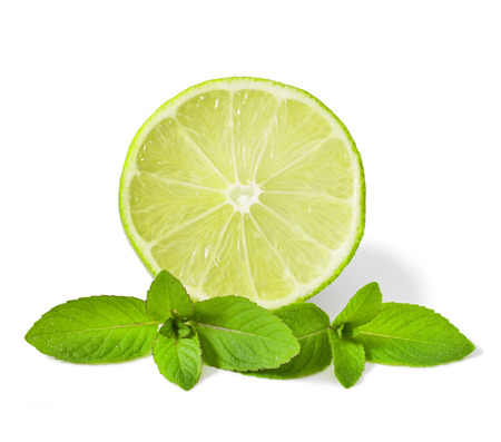 Lime and mint isolated on whiteの写真素材