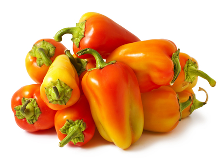 fresh peppers on white backgroundの写真素材