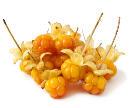 cloudberry close-up isolated on white backgroundの写真素材