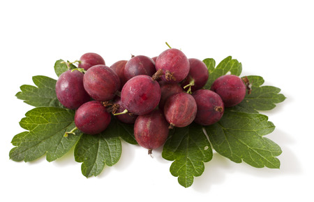 Gooseberries isolated on a white backgroundの写真素材