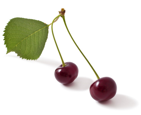 Two red cherry on a white backgroundの写真素材