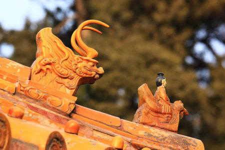 Tile detail  of Chinese historic building,the image  was taken in Summer Palace beijing