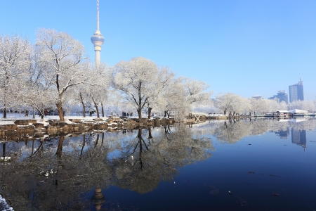 landscape of snow with cctv towerのeditorial素材