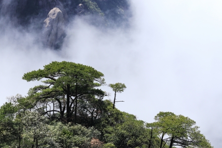 landscape of mountains of chinaの写真素材