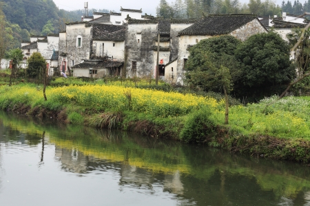 chinese village in spring with rape flowerの写真素材