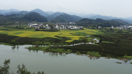chinese village in spring with rape flowerの写真素材
