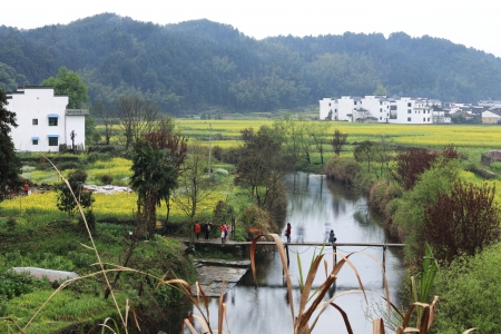 chinese village in spring with rape flowerの写真素材