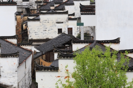 chinese agriculture in springの写真素材
