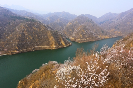 Beautiful blossom peach flowers with valleyの写真素材