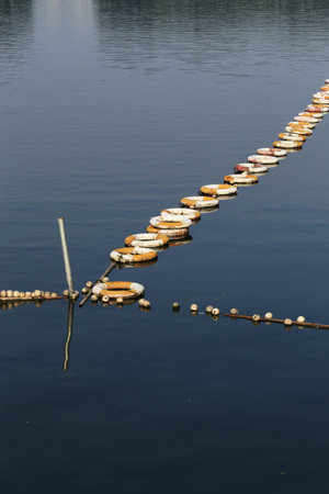 landscape of lake with ring