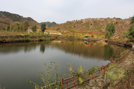 landcape of lake and building in autumnの写真素材