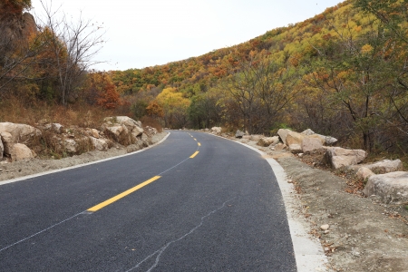 The red  leafs and a roadの写真素材