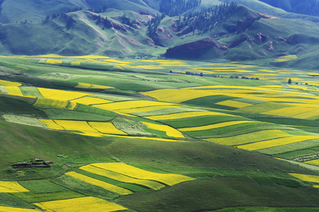 landcape of mountain in summer,Chineseの写真素材