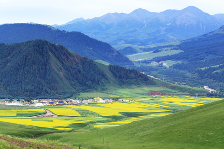 landcape of mountain in summer,Chineseの写真素材