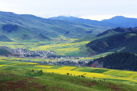 landcape of mountain in summer,Chineseの写真素材
