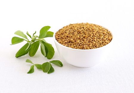 Methi or fenugreek seeds in a bowl and in the background are methi leaves.の写真素材
