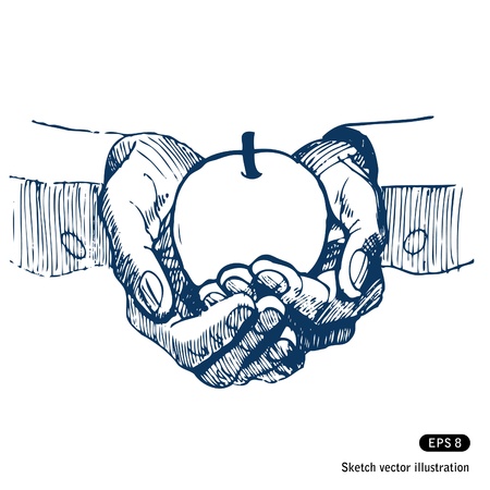   Man s hands holding an apple  Hand drawn vector isolated on whiteのイラスト素材