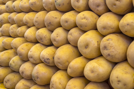 Fresh organic young potatoes sold on marketの写真素材