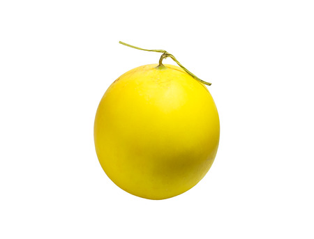 Cantaloupe melon yellow,isolated on backgroundの写真素材
