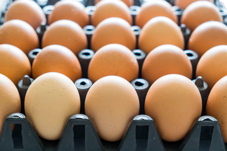 Egg tray black plastic stack for sale