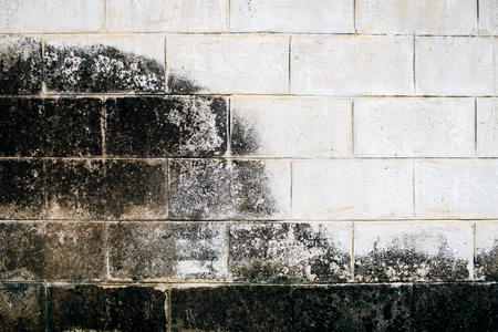 Wall white brick dirty lichen stain waysideの写真素材