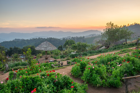 Landscape attractions sunset twilight beautiful at mon jam,chiang maiの写真素材