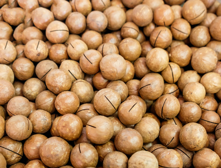 macadamia nuts color brown much close up backgroundの写真素材